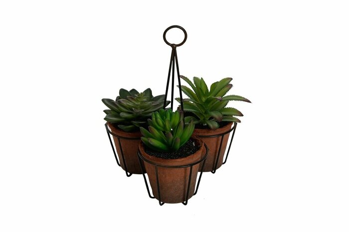 Sukulent 3lü Askılı Yapma Çiçek 20cm
