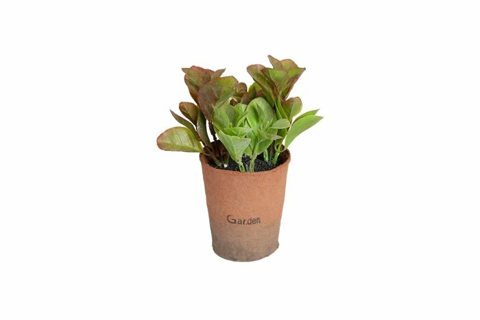 Garden Mini Saksılı Yapma Çiçek 16cm