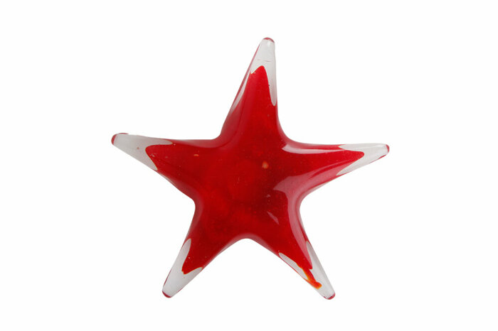 Bibelot Deniz Yıldızı Biblo 9cm