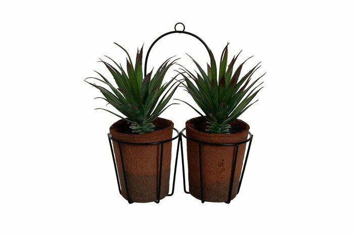 Sukulent 2 li Askılı Yapma Çiçek 21cm