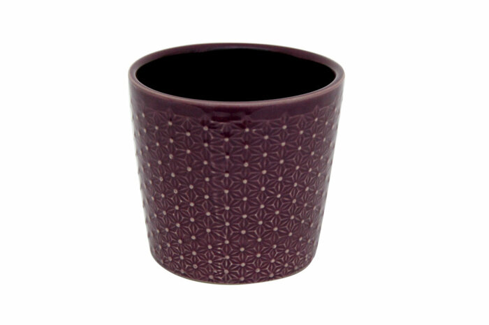 Etnico Purple Saksı 13cm